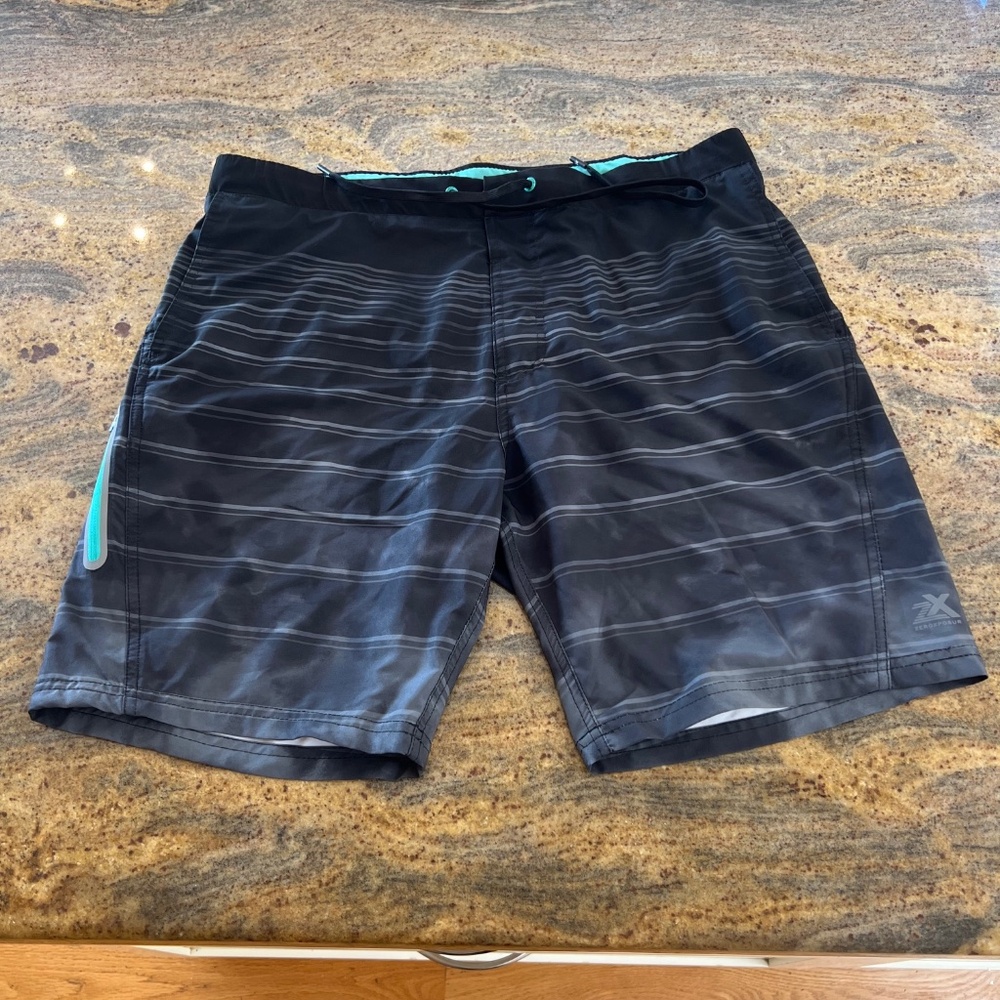 Men's Zeroxposur Striped Swim Trunk (Large)